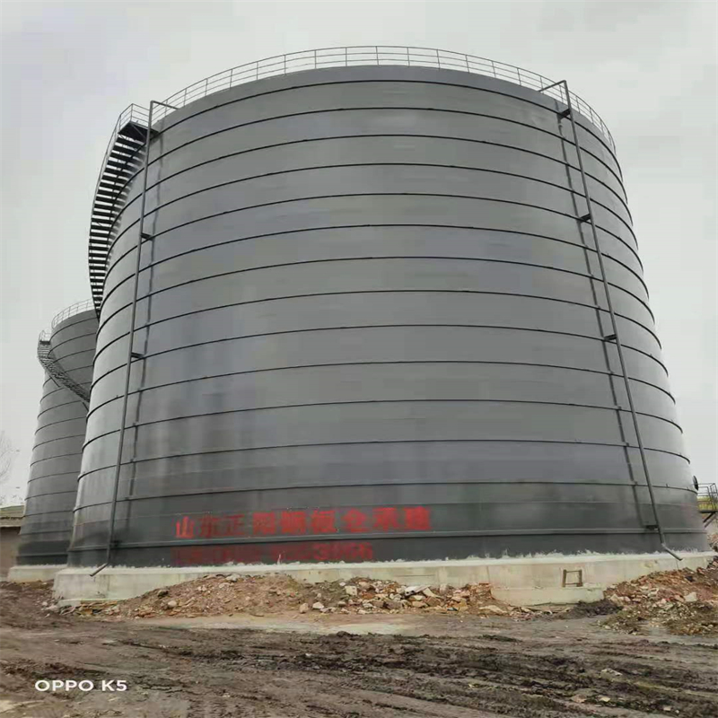 爱辉3万吨大型钢板库