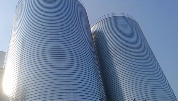 爱辉2座混凝土高架卷板仓